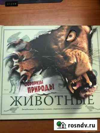 Подарочная книга Альметьевск