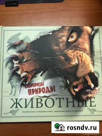 Подарочная книга Альметьевск - изображение 1
