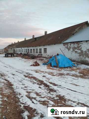 Ферма молочно-мясного направления Пригорск - изображение 1