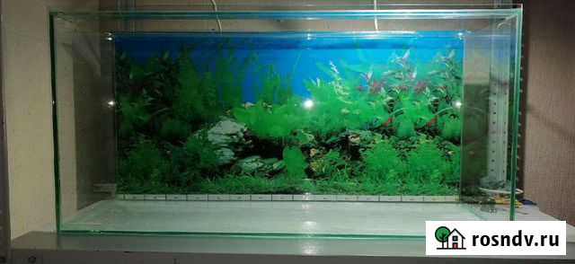 Аквариумы Барнаул - изображение 1