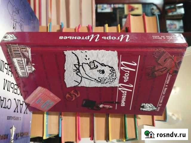 Игорь Иртеньев Гусь-Хрустальный - изображение 1