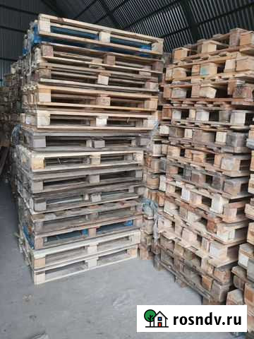 Поддоны приём Струнино - изображение 1