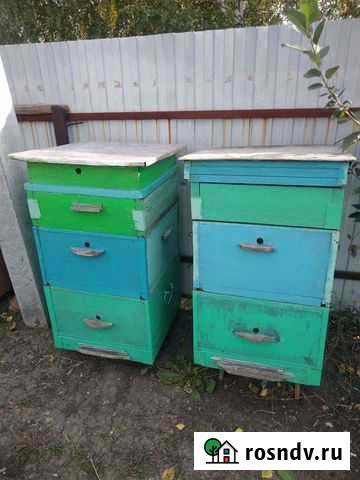 Ульи для пчел Светлый - изображение 1