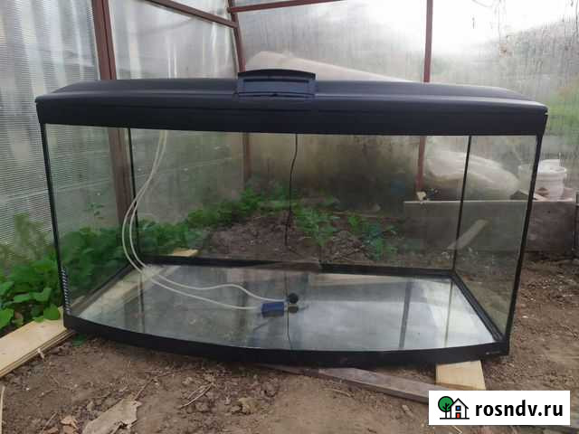 Аквариум Нижний Новгород - изображение 1