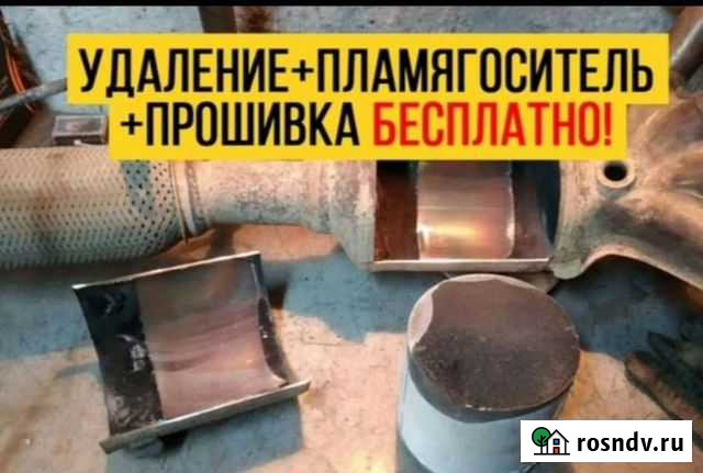 Прием скуп.ка авто катализаторы через анализ Псков - изображение 1