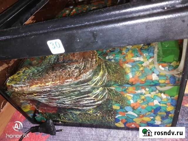 Аквариум Волгоград - изображение 1