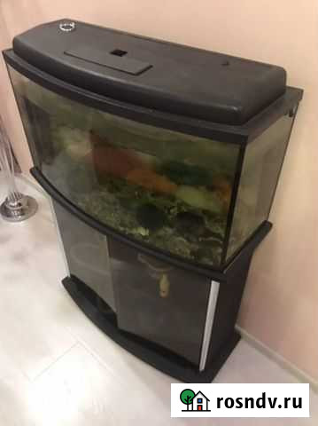 Аквариум 100л Свердловский - изображение 1