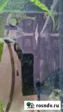 Аквариум Крымск - изображение 1