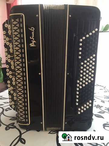 Баян Ижевск - изображение 1