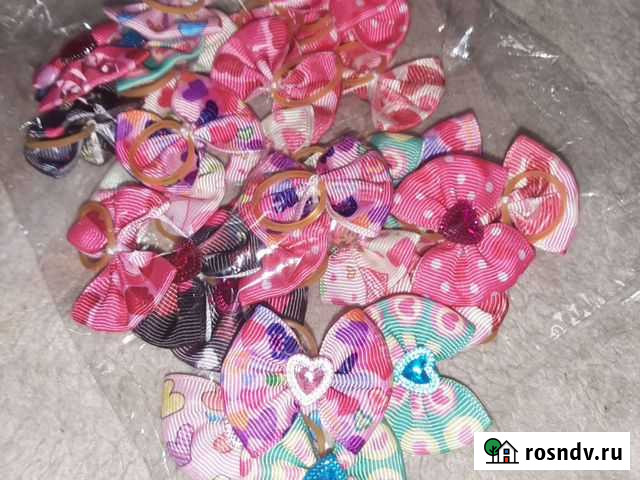 Резинки для собак Икша - изображение 1