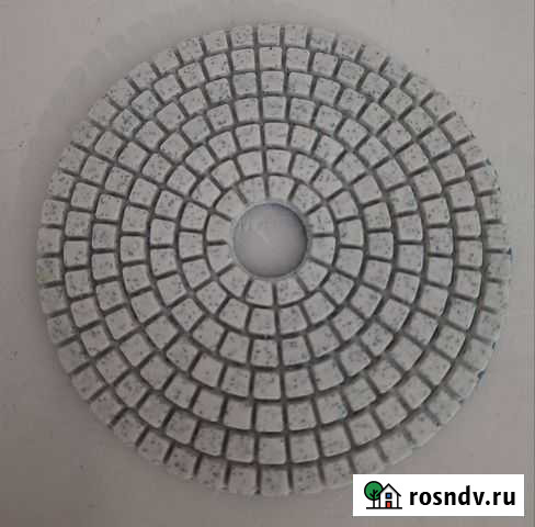 Черепашка Ярославль - изображение 1