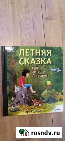 КнигаЛетняя сказка про хитрого лягушонка Котельники - изображение 1