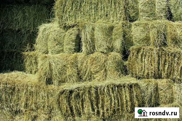 Поставки сено в тюках Яшкуль - изображение 1
