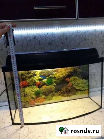 Аквариум Маркс - изображение 1