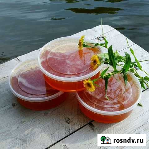 Алтайский Мёд 2021 Новокузнецк - изображение 1