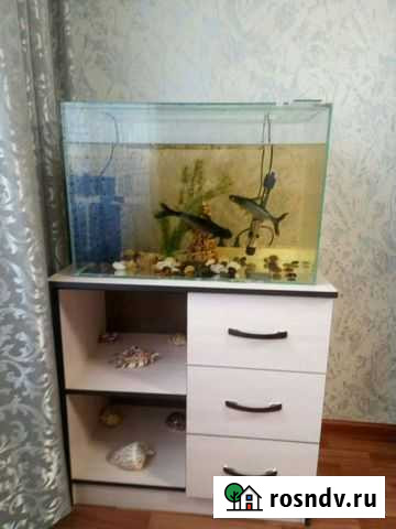 Аквариум 70 литров Волжский - изображение 1