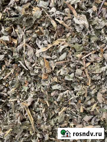 Репешок сушенный Симоненко - изображение 1