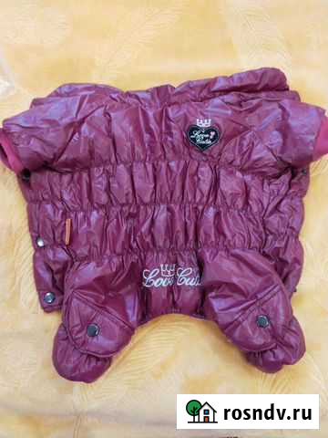 Комбинезон для собаки Люберцы - изображение 1