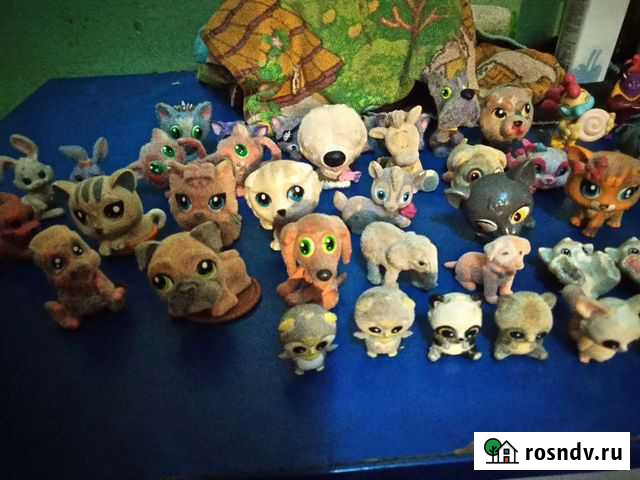 Киндер сюрприз Калуга - изображение 1