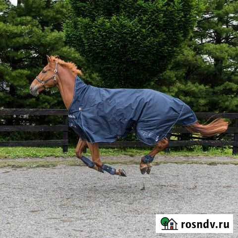 Попона зимняя 300гр 155 Лобня - изображение 1