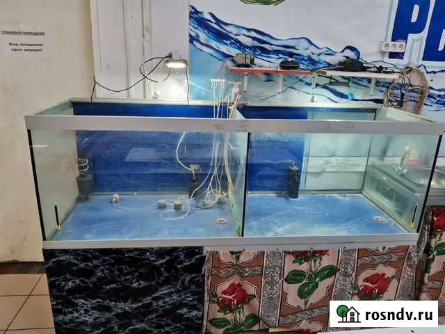Аквариум Конаково - изображение 1