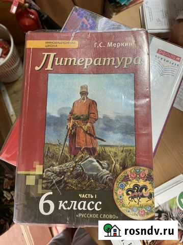 Учебник по литературе 1 часть Борисоглебск - изображение 1