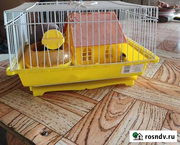 Клетка для хомяка Гойты - изображение 1
