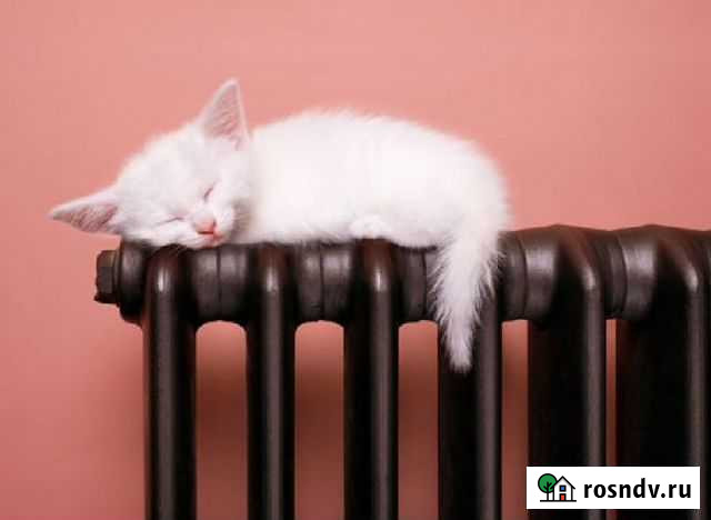 Чугунные радиаторы отопления(батареи) 782/ет Братск - изображение 1