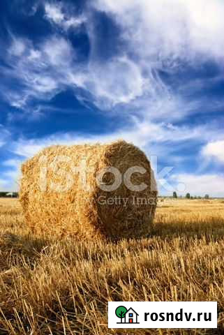 Солома рулонами и мешками Ижевск - изображение 1