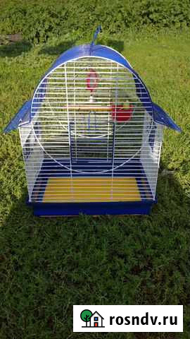 Клетка для попугая Боровиха - изображение 1
