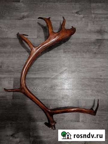 Рог Тольятти - изображение 1