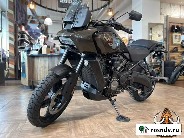 Harley Davidson Pan America 1250 (River Rock Gray) Новосибирск - изображение 1