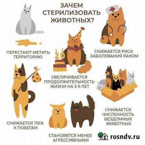 Льготная стерилизация Краснодар