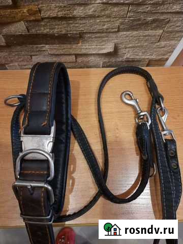 Поводок и ошейник для собак Петрозаводск - изображение 1