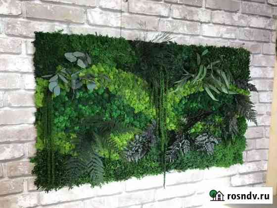 Картина из стабилизированного мха 70*120 Белгород