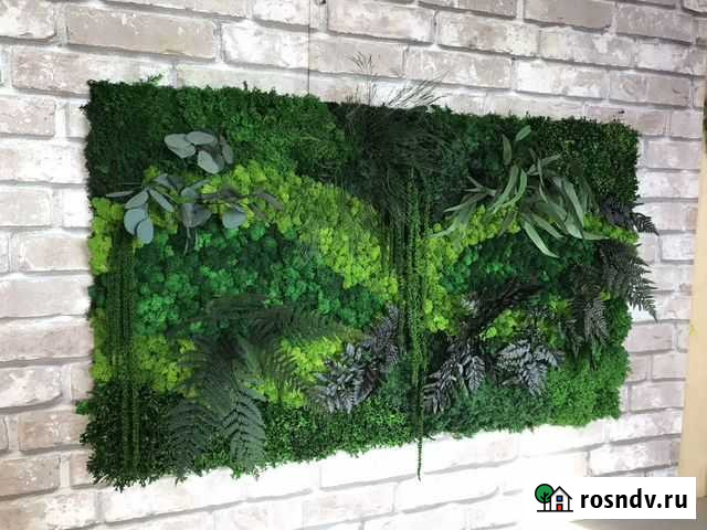 Картина из стабилизированного мха 70*120 Белгород - изображение 1