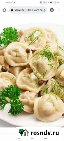 Продам готовый бизнес производство пельменей и вар Новый Уренгой - изображение 1