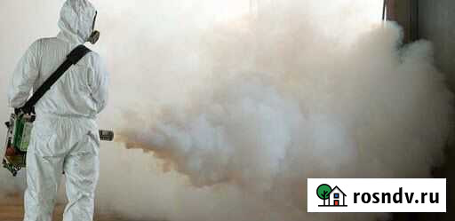 Уничтожение насекомых и грызунов Псков - изображение 1