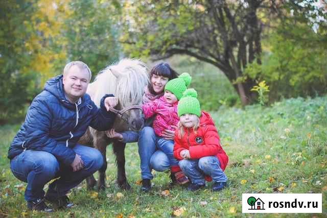 Экскурсии на конюшню Владимир - изображение 1