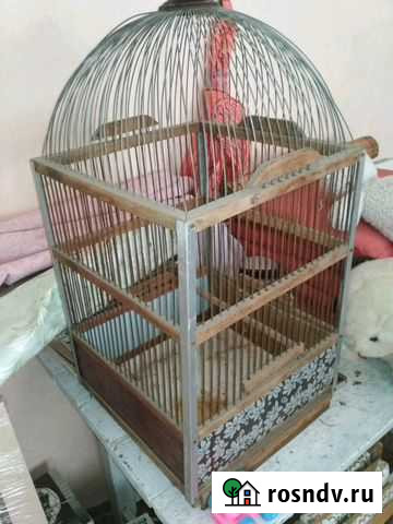 Клетка Улан-Удэ - изображение 1