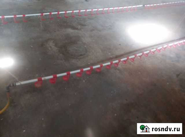 Поилки для кур Усть-Лабинск - изображение 1