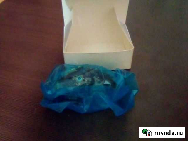 Лазер Xbox для Ильи Шебекино - изображение 1