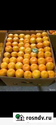 Мандарин из Абхазии Волгоград - изображение 1
