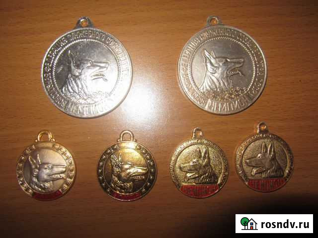 Медали для собак Тверь - изображение 1