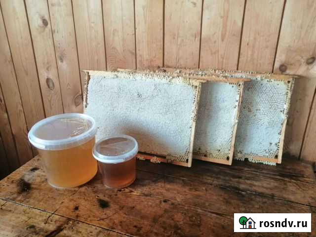 Мед цветочный разнотравье сухолорский р-он Екатеринбург - изображение 1