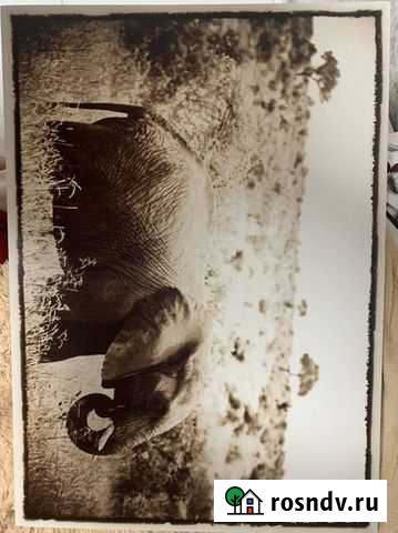 Картина Калининград - изображение 1