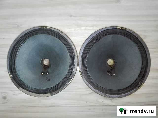 Динамики СССР 2гд-19М Арсеньев - изображение 1