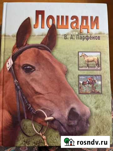 Лошади, В.А. Парфенов, 2002 г Выборг - изображение 1
