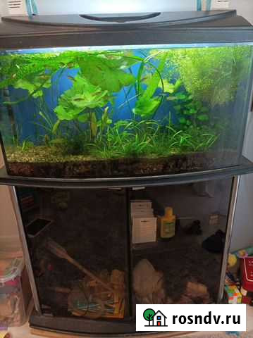 Аквариум+тумба 75л Самара - изображение 1