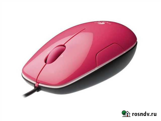 Мышка Петра I Тюмень - изображение 1